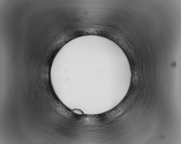 X0000099400466200806051211