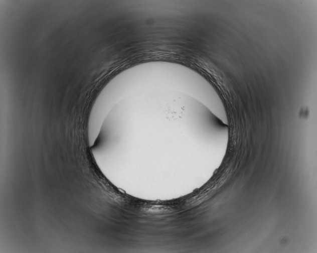 X0000099400467200806051211
