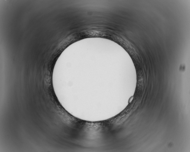 X0000099400469200806051212