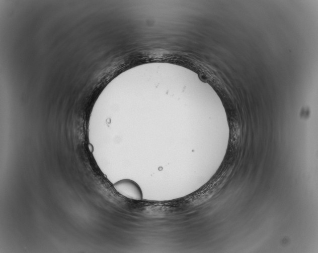 X0000099400470200806051212