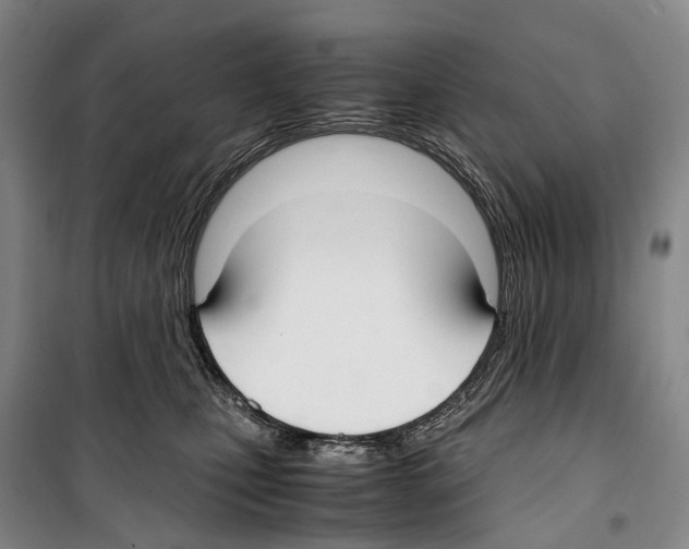 X0000099400471200806051212