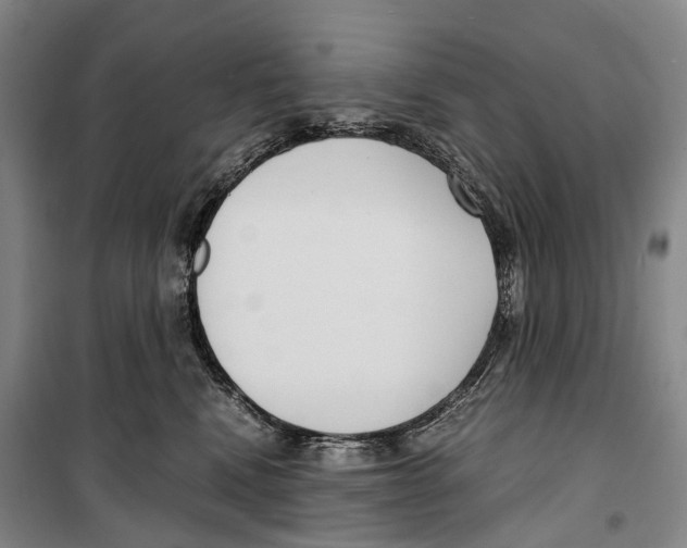 X0000099400472200806051212