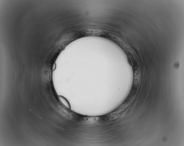X0000099400474200806051212