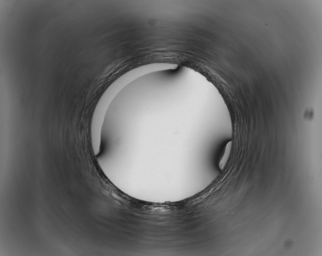 X0000099400475200806051212