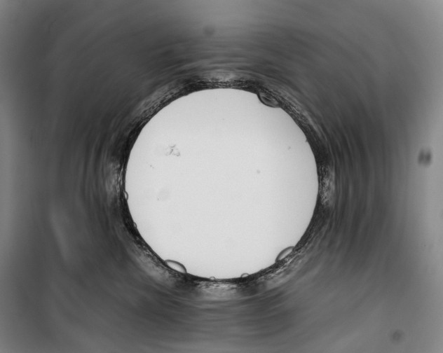 X0000099400476200806051212