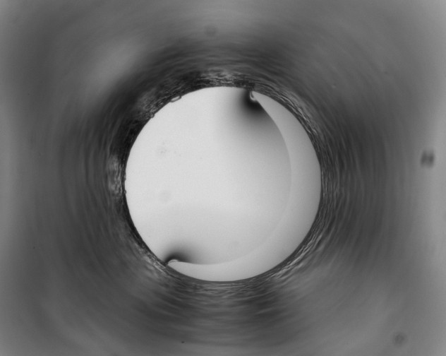 X0000099400477200806051212