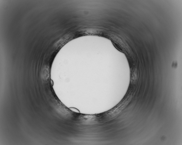 X0000099400478200806051212