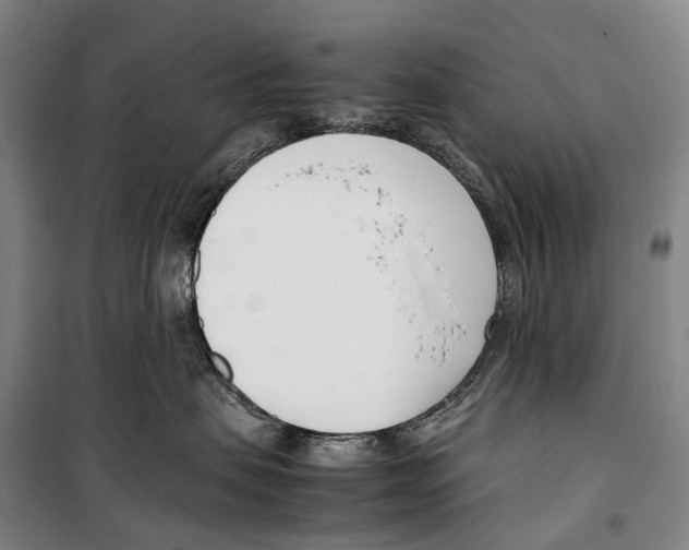 X0000099400479200806051212