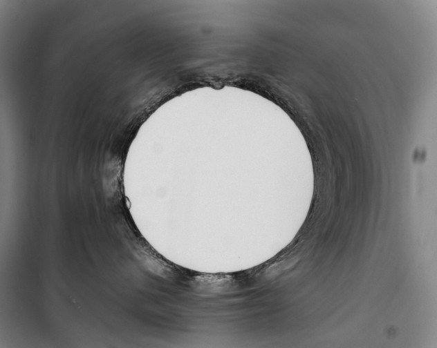 X0000099400480200806051212