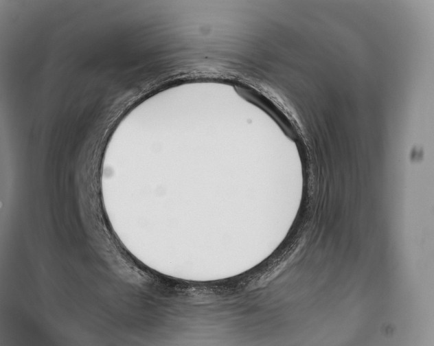 X0000099400481200806051211