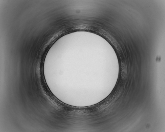 X0000099400482200806051211