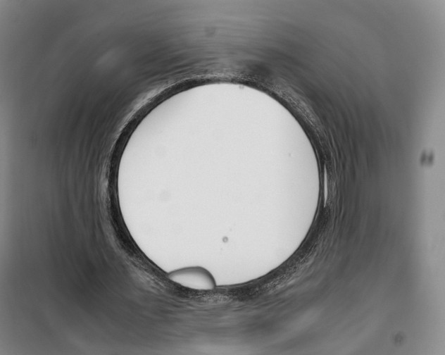 X0000099400483200806051211