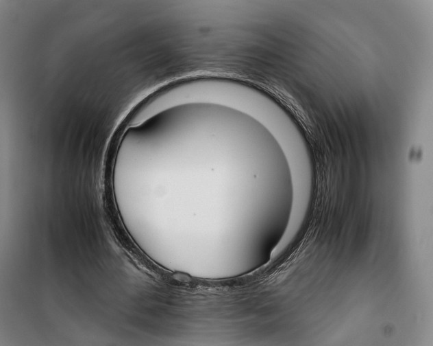 X0000099400484200806051211