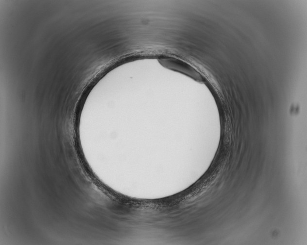 X0000099400485200806051211