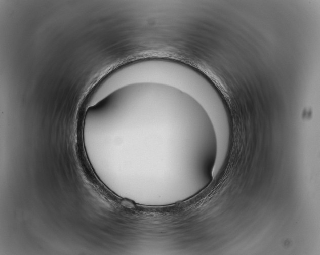 X0000099400486200806051211