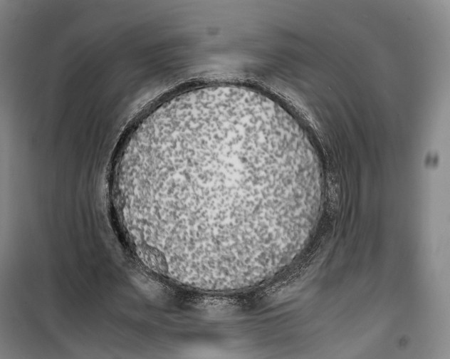 X0000099400487200806051211