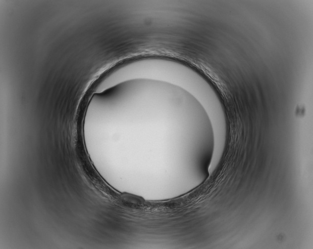 X0000099400488200806051211