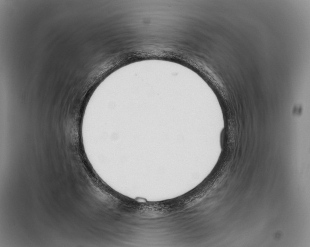 X0000099400489200806051211