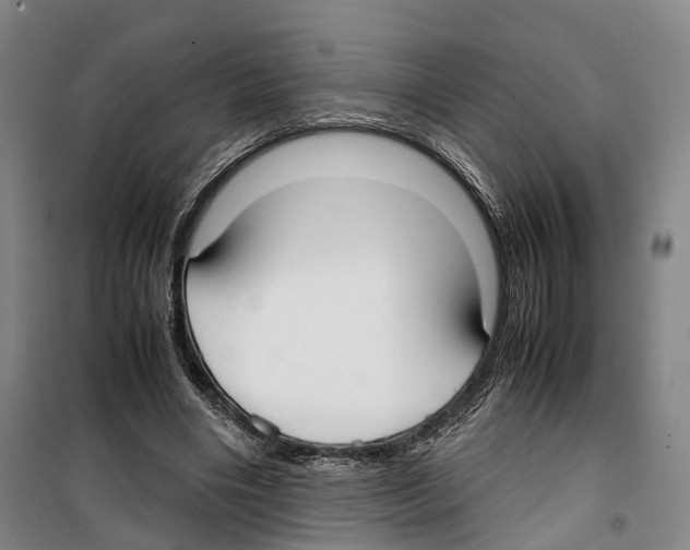 X0000099400490200806051211