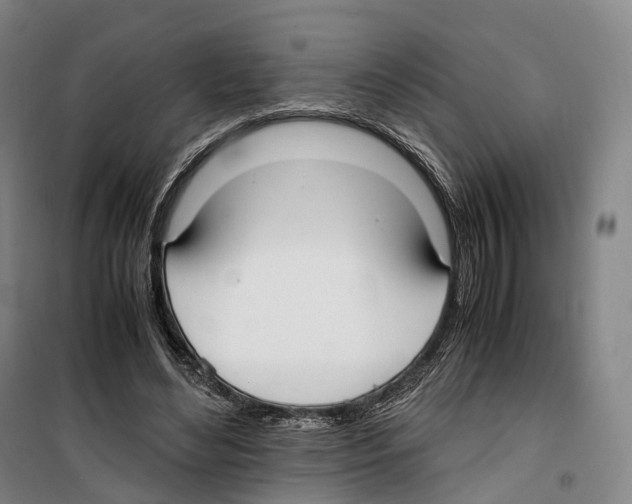 X0000099400492200806051211
