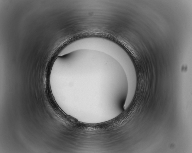 X0000099400494200806051211