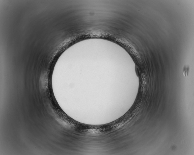 X0000099400496200806051211