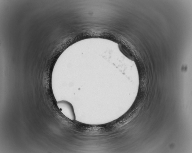 X0000099400497200806051211