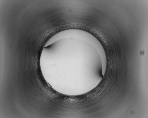 X0000099400498200806051211