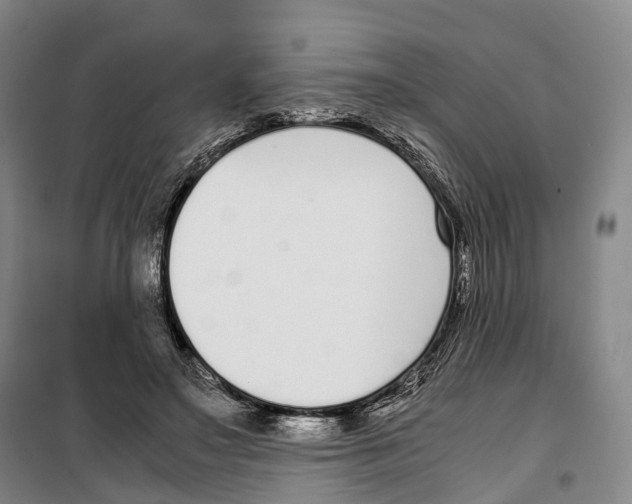 X0000099400499200806051211