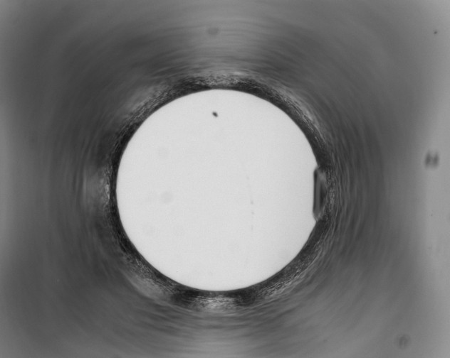 X0000099400501200806051211
