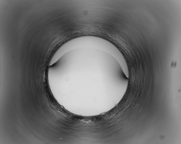 X0000099400502200806051211