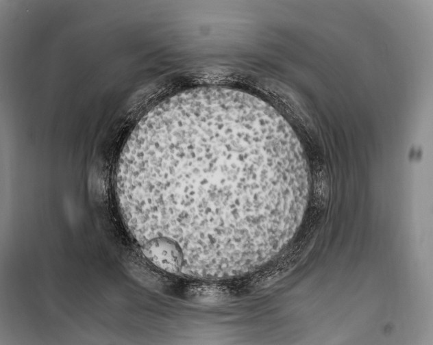 X0000099400503200806051211