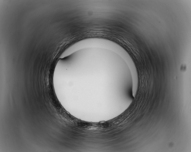 X0000099400504200806051211
