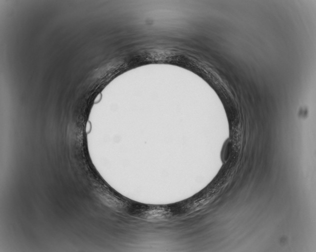 X0000099400505200806051211