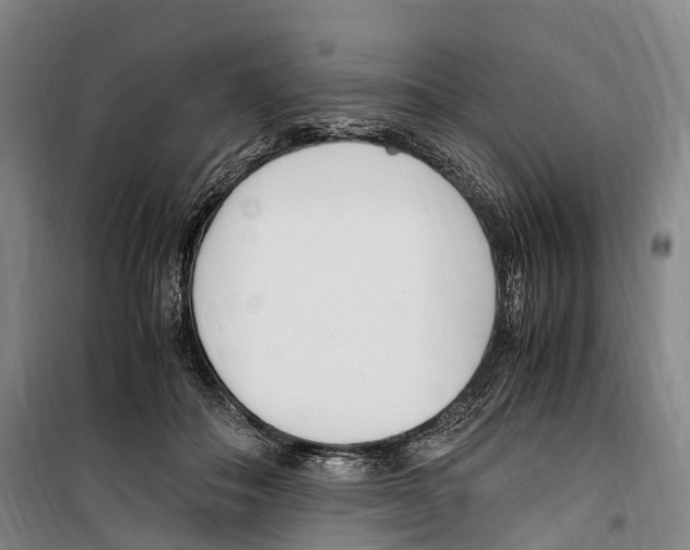X0000099400506200806051211