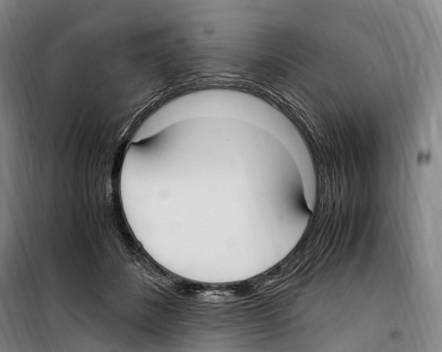 X0000099400508200806051211