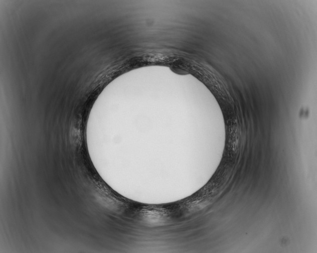 X0000099400510200806051211