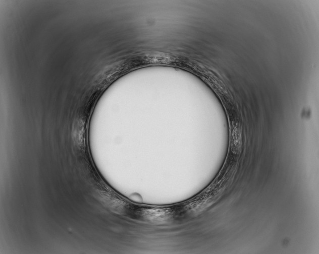 X0000099400511200806051211