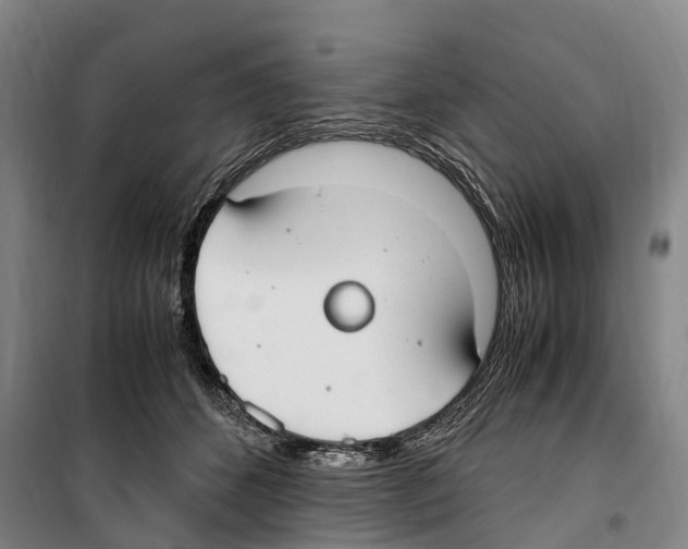 X0000099400512200806051211