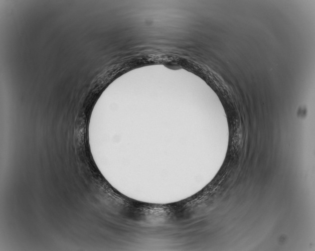 X0000099400513200806051211