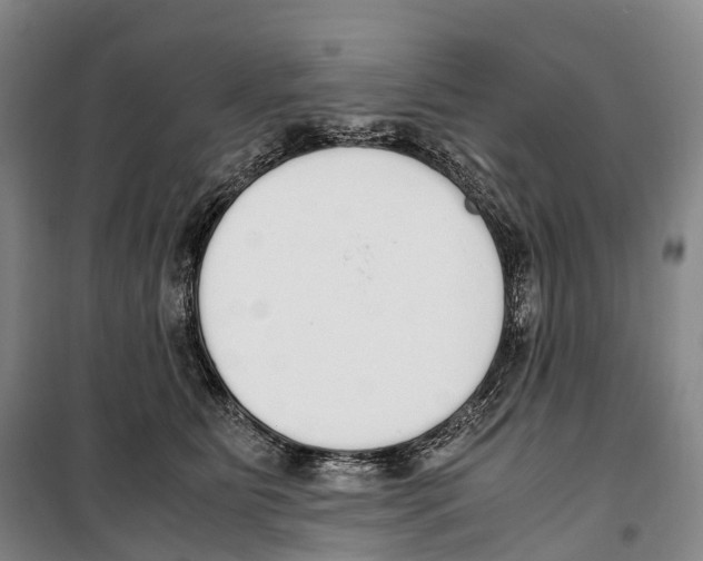 X0000099400515200806051210