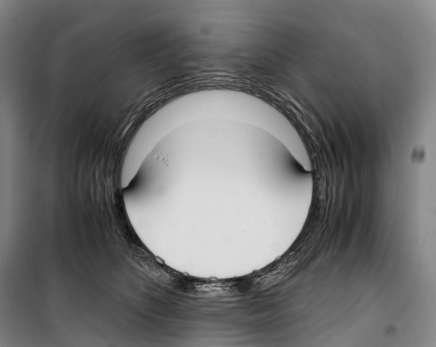 X0000099400516200806051210