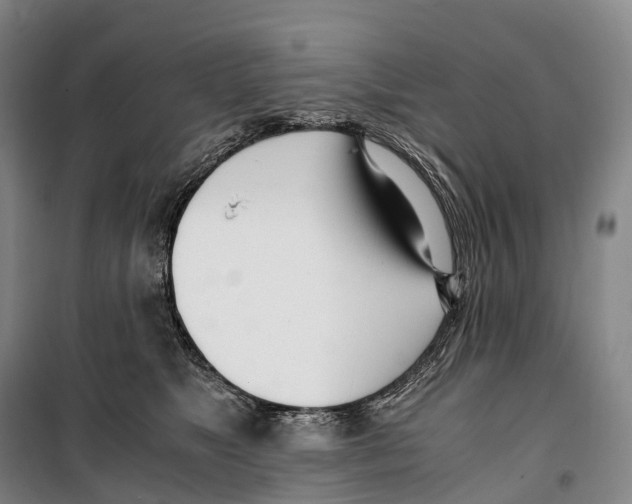 X0000099400517200806051210