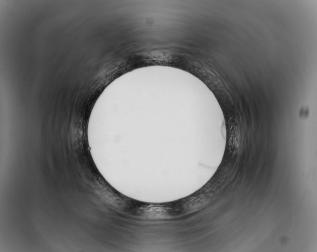X0000099400518200806051210
