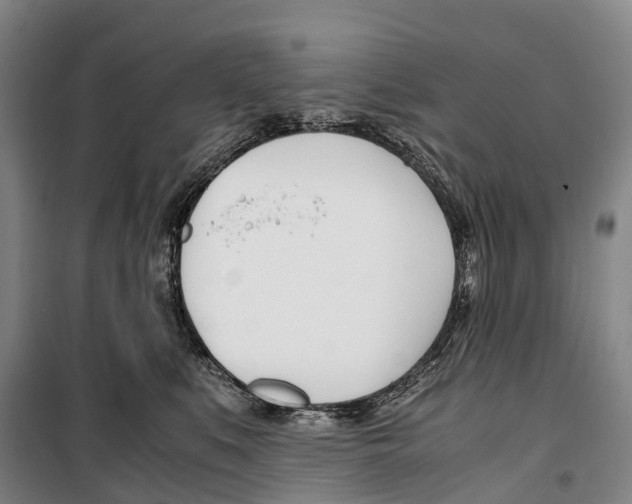 X0000099400519200806051210