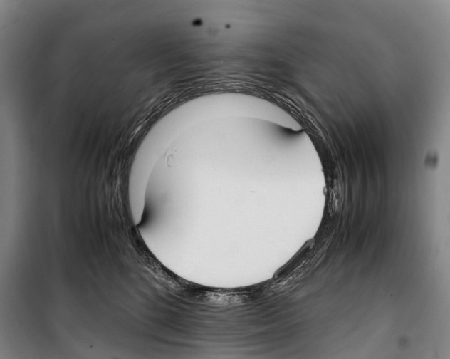 X0000099400520200806051210