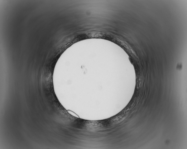 X0000099400521200806051210