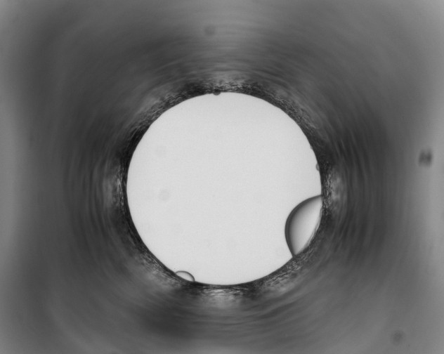 X0000099400522200806051210