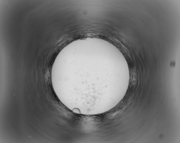 X0000099400523200806051210
