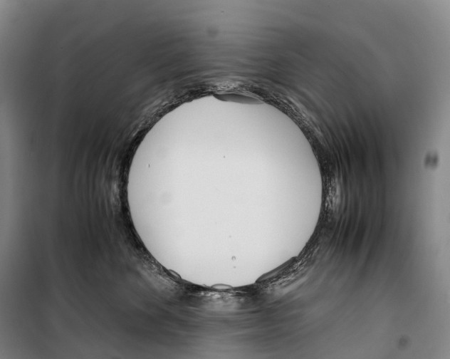 X0000099400524200806051210